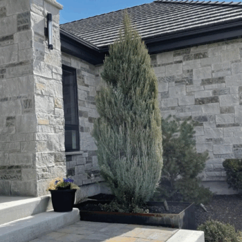 carbondale-ashlar sawn