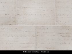 colosseumtravertine_manufacturedstone_mushroom_july23