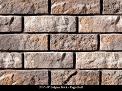 belgianbrick_thinbrickveneer_eaglebuff_july23