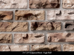 sculpturedbrick_thinbrickveneer_eaglebuff_july23