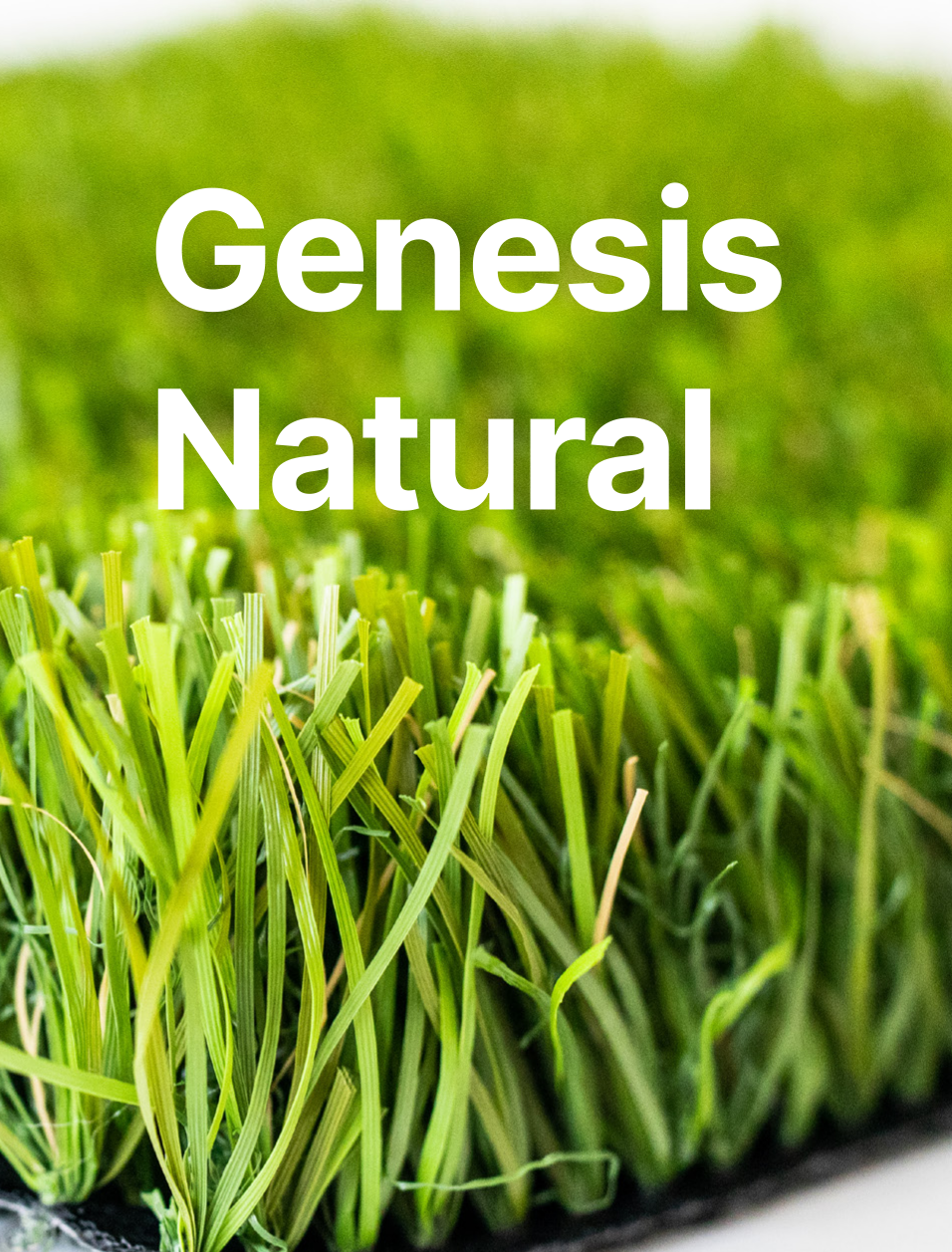 Genesis Natural link to pdf