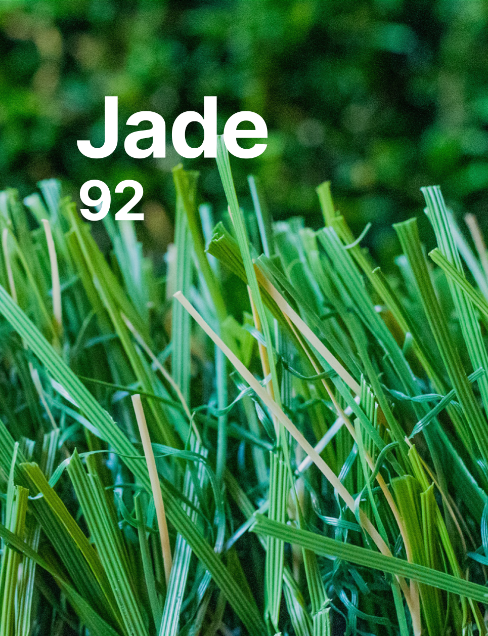 Jade 92 image link to product sheet
