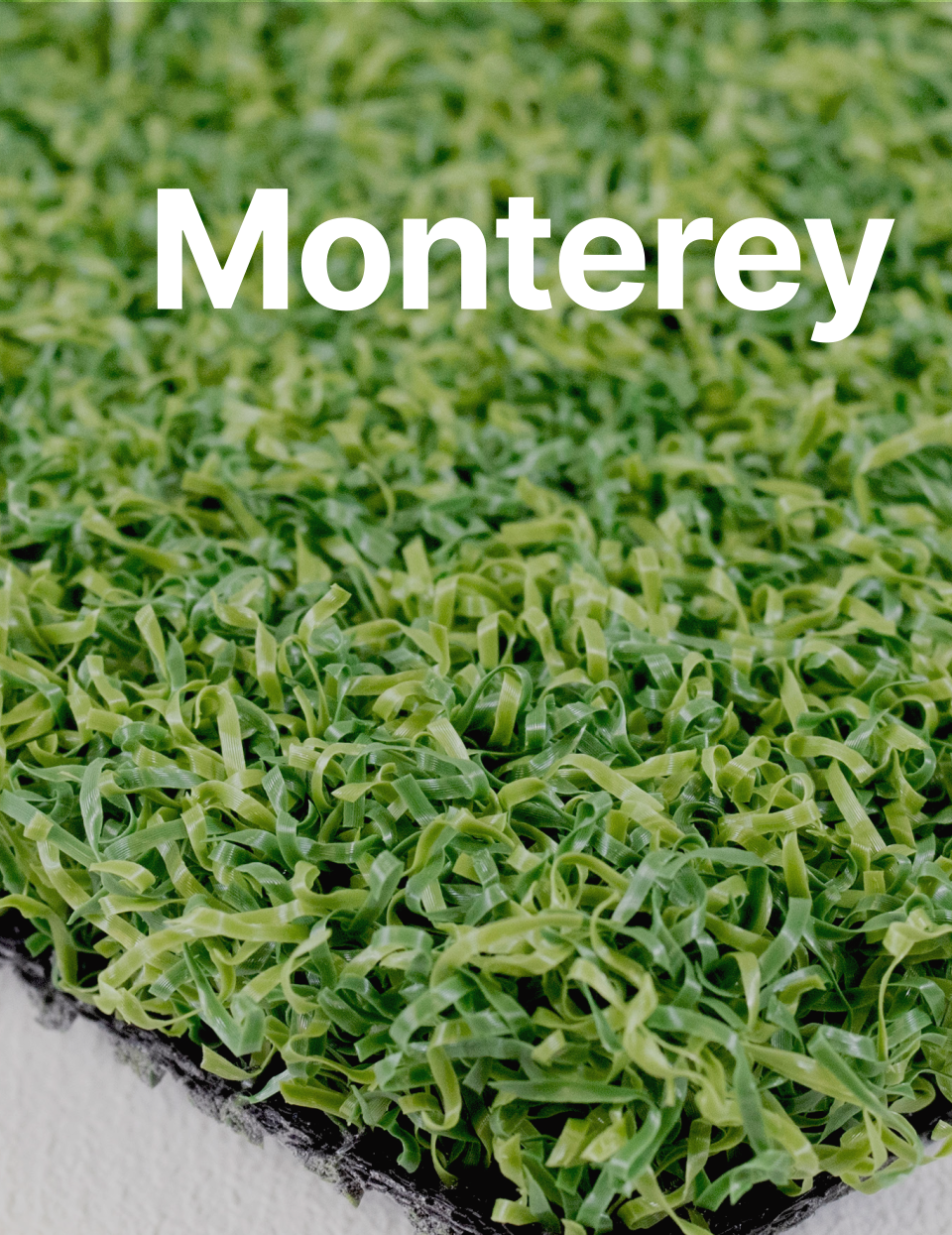 Monterey link image